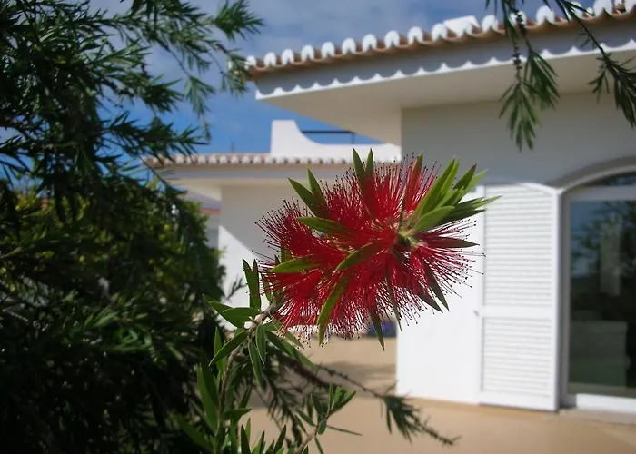 Casa Limão
